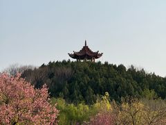 -禹州森林植物园