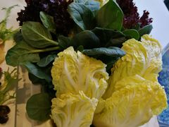 时蔬营养组合-海鸿荟·沿江菜(中山北路店)