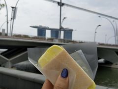 榴莲味-詹爷爷乌节路街头冰淇淋