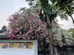 -深圳国际园林花卉博览园