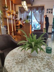 -心迪染发专门店