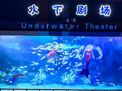 -泉城欧乐堡海洋极地世界