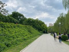 -南翠屏公园