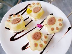 -喵屿·大理花园猫咖