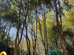 -天目湖御水温泉·度假酒店