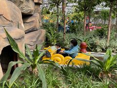 -南宫五洲植物乐园