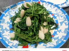 凉拌桑叶尖-肆月河豚·新淮扬菜·烤鸭(中关村店)