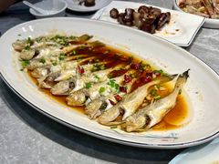 梅子鱼-大家发海鲜城夜排档(华山中路店)