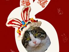 -安徽阜阳卷馍(西单店)