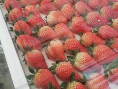 -西郊国际农产品交易中心