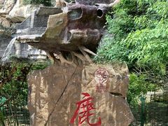 -鹿院坪生态旅游景区