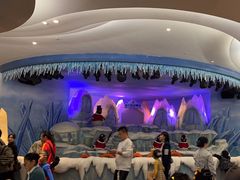 -帝企鹅自助餐厅•儿童岛•真企鹅(长隆企鹅酒店)