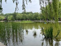 -西安市长乐公园
