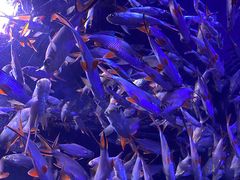 -成都浩海立方海洋公园