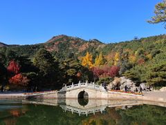 -香山公园