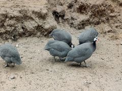 -森林公园(尖草坪区)