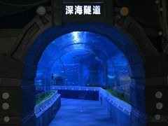 -石家庄极地海洋世界