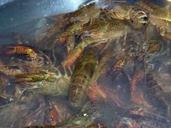 -叁宝烤肉• 西安烧烤(高科新花园店)
