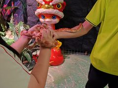 -正佳雨林生态植物园