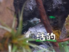 -中国湿地博物馆