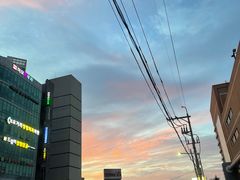 -莲洞本家