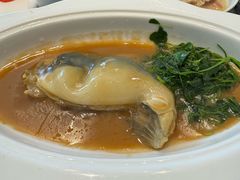 -沈灶河豚宴·河豚融合餐厅(汉中路店)