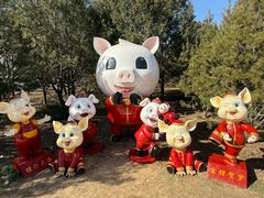 -石家庄市动物园