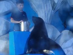 -蓬莱欧乐堡海洋极地世界