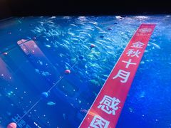 -成都浩海立方海洋公园