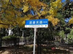 -八大关景区