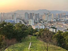 -金鸡山公园