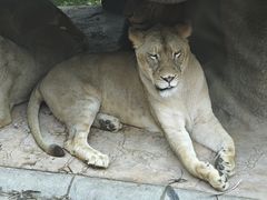 -北京野生动物园