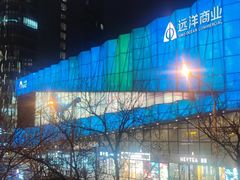 -远洋未来汇