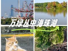 -海珠湖公园