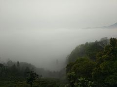 -石潭村
