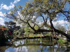 -和顺古镇
