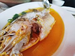 鸡油蒸半野生黄鱼-玫瑰厅上海菜(兴国路店)