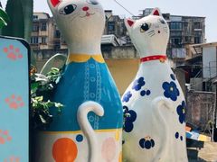 -猫咪博物馆(顶澳仔猫街店)