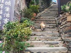 -洪江古商城