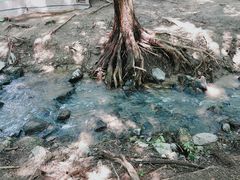-白水寺森林公园