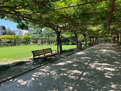 -嘉定紫藤园