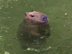 -珠海长隆海洋王国