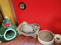 -H立方实景剧情密室(天河旗舰店)