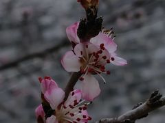 -北京明城墙遗址公园