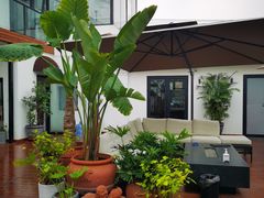 -素心小筑(后沙裕镇店)