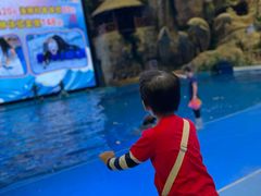 -芜湖新华联大白鲸海洋公园