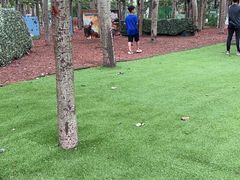 -朝阳公园真人CS
