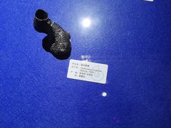 -贝壳王国博物馆