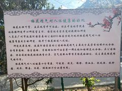 -广州市流溪河国家森林公园