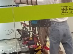 -無弓射箭俱乐部(领展中心城店)